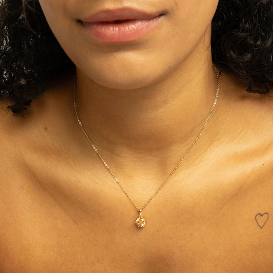 240389-1.jpg